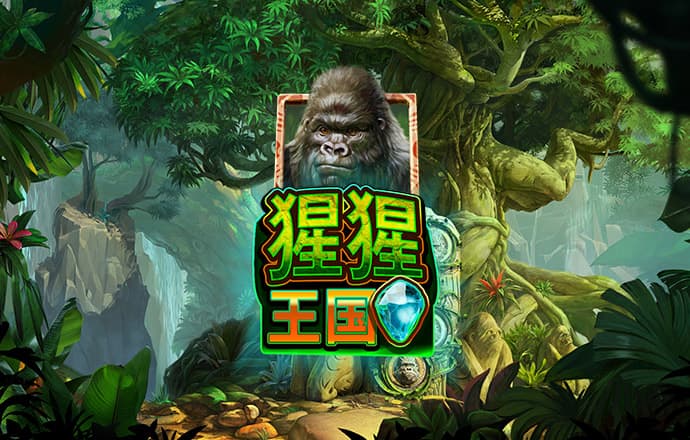 pp电子网站登录
